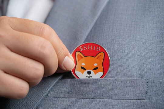Shiba Inu