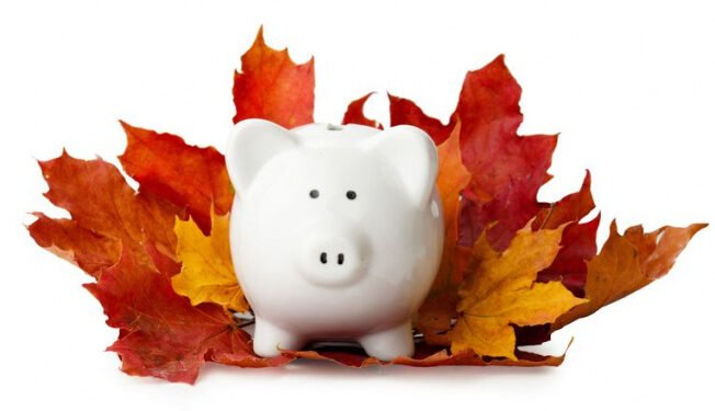 Steve Berridge: A new season of pension uncertainty