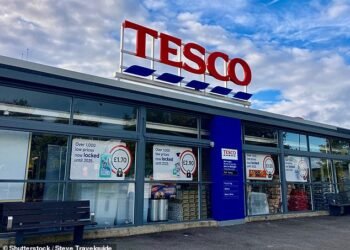 Sky's the limit: Tesco shows no sign of losing its grip as the country's biggest supermarket