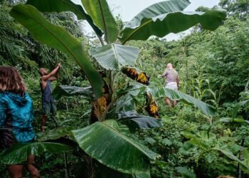 Condé Nast Traveler