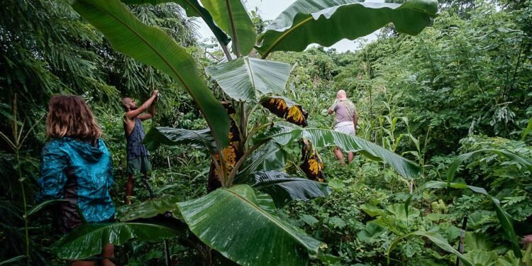 Condé Nast Traveler