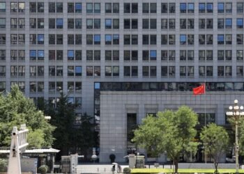 WTO hails Chinese decision to forgo developing country benefits