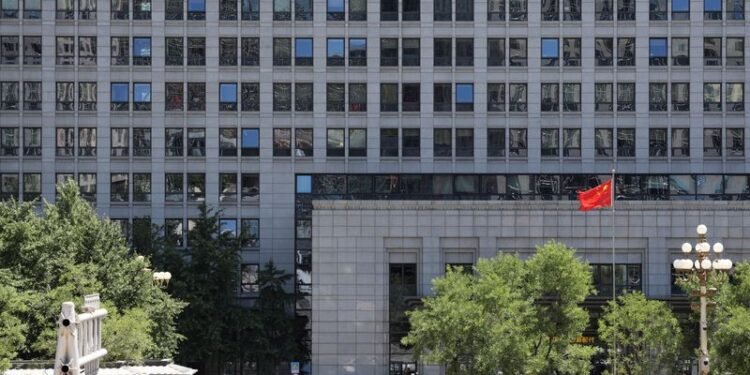 WTO hails Chinese decision to forgo developing country benefits