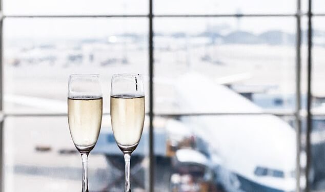 Club class life: Cards can offer free airport lounge access and family travel insurance