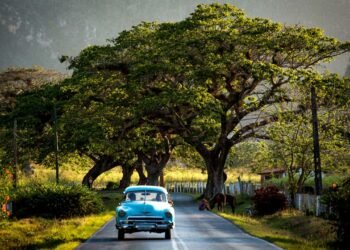 Why Do We Make Such Fast Friends on Vacation?