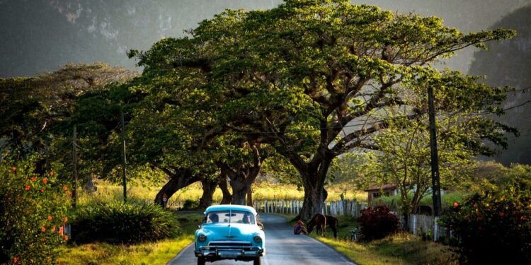 Why Do We Make Such Fast Friends on Vacation?