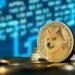Will They Ever See Another Bull Run?