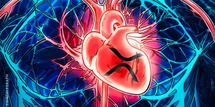 5 Key Factors Behind Its Growing Value