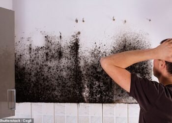 Some 98 per cent of the external wall insulation needs to be repaired as it could cause mould and damp