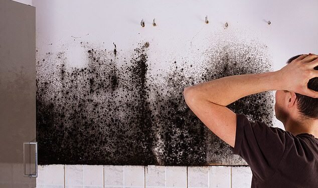 Some 98 per cent of the external wall insulation needs to be repaired as it could cause mould and damp