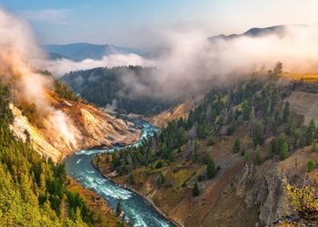 Condé Nast Traveler