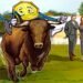 Bitcoin May Fall To $104K Before Bull Market Resumes
