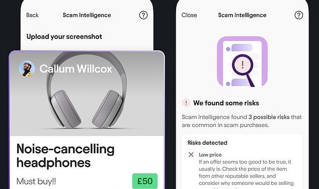 Sniffing out scams: The tool, which can be found on the payments tab of the Starling Bank app, is available to personal, joint and business account customers