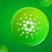 Cardano