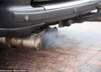 The High Court was told that car manufacturers decided they would 'rather cheat than comply with the law' over vehicle emissions, as the largest class action in English history - dubbed the new 'dieselgate' - began on Monday