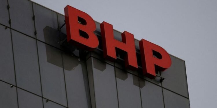 China and US ’just flexing muscles’ over critical metals, BHP chair says