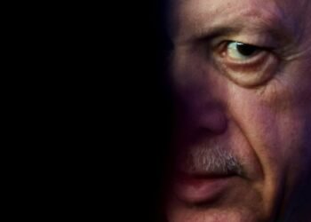 Erdogan turns Trump's Gaza deal into a power play for Turkey