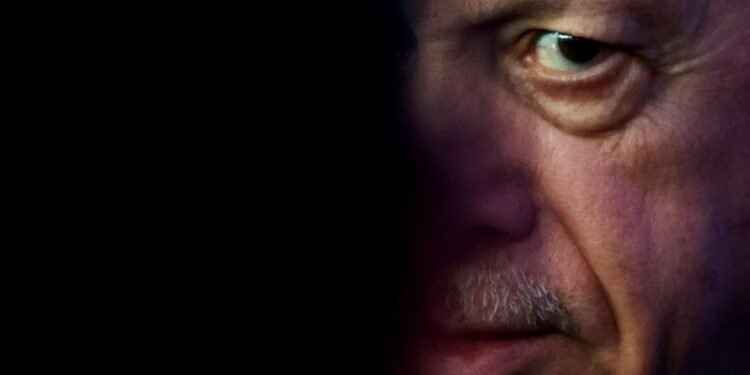 Erdogan turns Trump's Gaza deal into a power play for Turkey