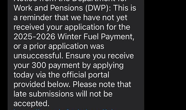 Scam texts, seen by This is Money, claim that DWP records indicate the recipient has not submitted an application for the winter heating allowance, or that information provided was incomplete or the application was rejected