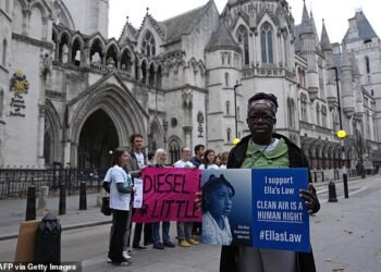 Campaigners pictured outside the Royal Courts of Justice in central London on Monday morning as the High Court decides in a three-month trial if major car makers installed emissions cheating 'defeat devices'