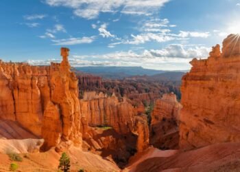 Condé Nast Traveler