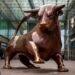 Bullish: Hammerson's portfolio encompasses Brent Cross and the Bullring in Birmingham