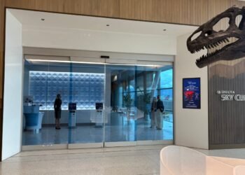 Indoors, Person, Plant