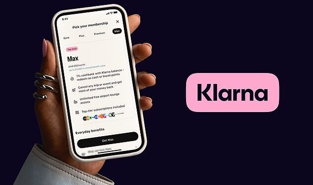 New offering: Klarna is taking on high street banks with the roll out of premium e-money accounts which offer perks in exchange for a monthly fee