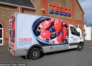 In the driving seat: Tesco remains the seemingly unstoppable favourite of the retail world
