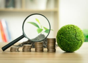 Transition Loans Guide launches