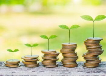 PIMFA urges Government to prioritise stability ahead of Budget