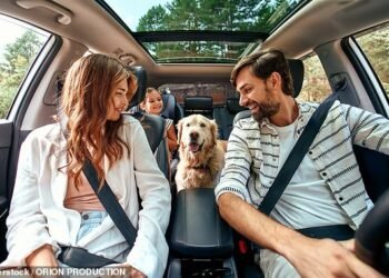 Dog-owning motorists spend a massive £6,500 over their dog's lifetime to make sure their car is pet proof, new research shows