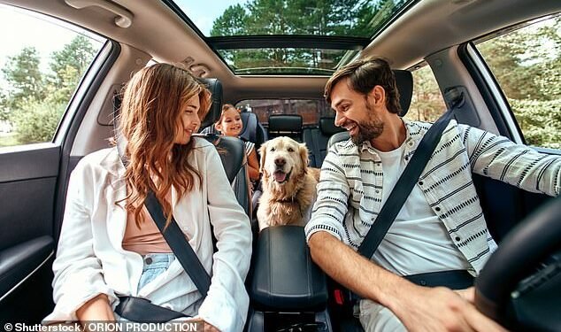 Dog-owning motorists spend a massive £6,500 over their dog's lifetime to make sure their car is pet proof, new research shows