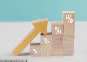 Tax grab: Raising VAT would have a detrimental effect on the economy, experts warn