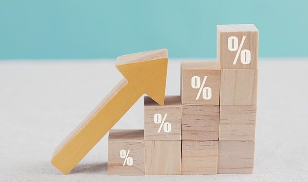 Tax grab: Raising VAT would have a detrimental effect on the economy, experts warn