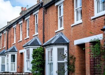 Rising: Millennial landlords comprised a record 50 per cent of new buy-to-let investors in England and Wales in the year to date, Hamptons said