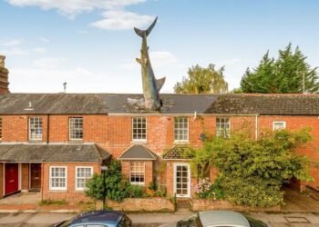 Property crash: The shark appears to be launching itself head-first into the terraced home