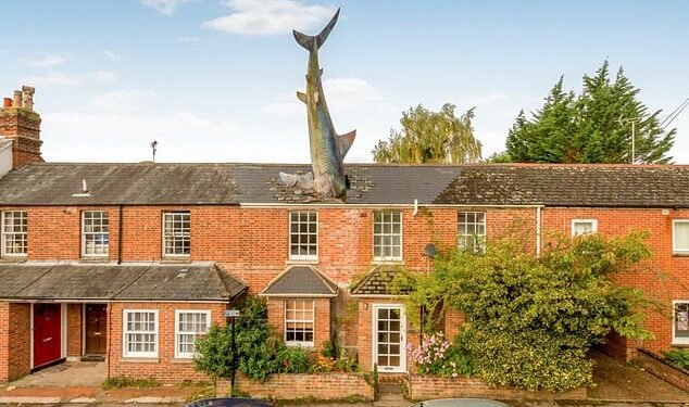 Property crash: The shark appears to be launching itself head-first into the terraced home