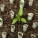 Royal London expands sustainable fund range