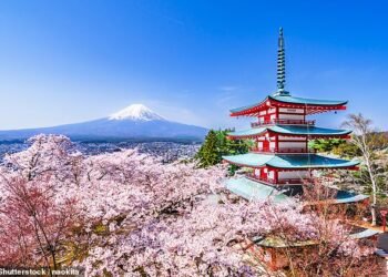 Sunny outlook: The Nikkei 225 stock market this week leapt to a record 52,411 – which is 20 per cent above its level in September