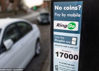 Three quarters of drivers who have paid for public parking using a smartphone app say they have encountered issues as the RAC called for motorists to have more payment options