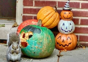 Weekly Mortgage Rates Drop on Squirrelly Jobs Data