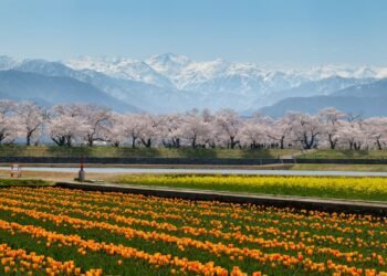 Condé Nast Traveler