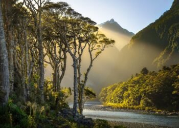 Condé Nast Traveler