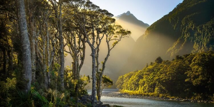 Condé Nast Traveler