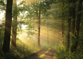 AXA IM Alts closes natural capital strategy