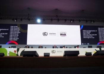Analysis-What the COP30 climate summit in the Amazon delivered for forests and Indigenous people