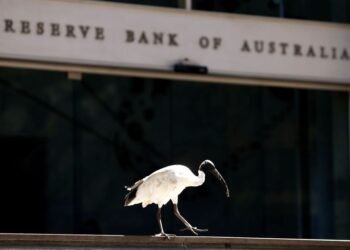 Australia’s economic capacity remains tight, top central banker says
