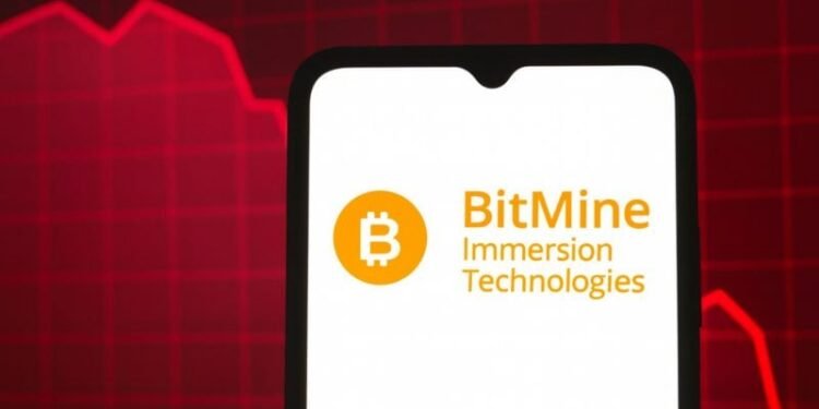 BitMine Immersion Technologies stock dips with Ethereum post new CEO appointment