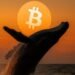 Bitcoin sees its second-largest weekly whale accumulation of 2025